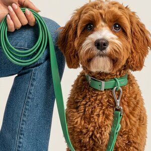 Wild One Green Small Leash New in PKG
